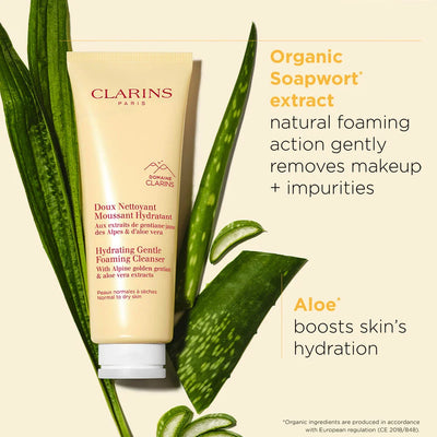 Hydrating Gentle Foaming Face