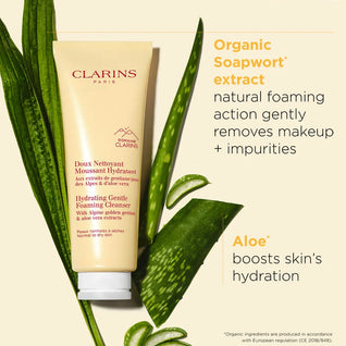Hydrating Gentle Foaming Face