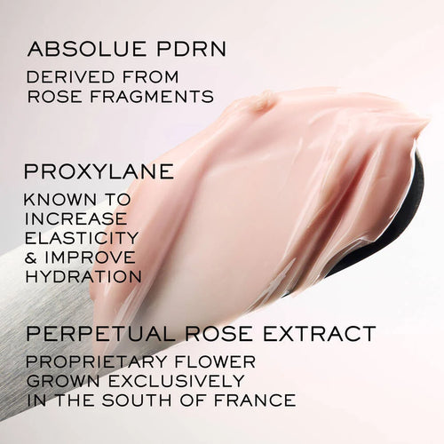 Absolue Longevity Soft Cream