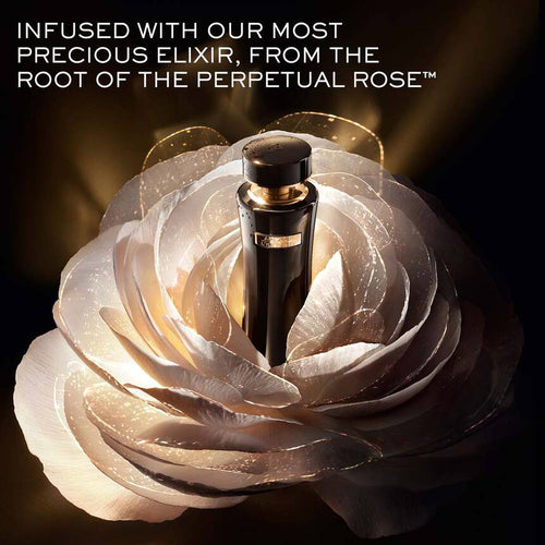 Absolue L'Extrait Elixir Lotion